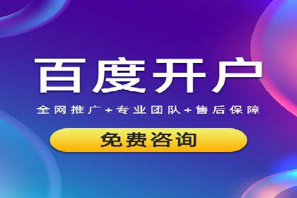 深入解析SEM竞价托管的成功案例